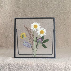 Pressed Natural Flowers Framed